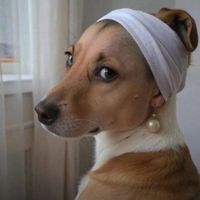 it.s_tunia