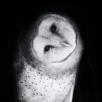 original sound - 7hr4sh