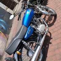 carlosmontoya4431