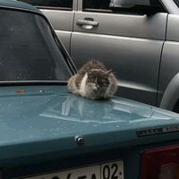 оригинальный звук