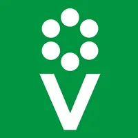 original sound - procvetok