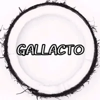 original sound - _gallacto_