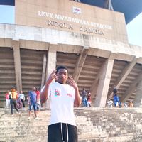 wiz_ndl