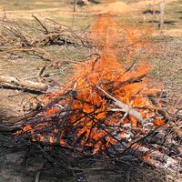 البوب مارلي بتوزيع ليبي