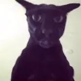 original sound - evillarry000