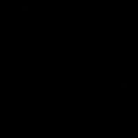 rzinn_zxl2