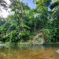 videos.de.naturale