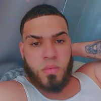 pinguino247