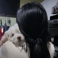 sariahfs
