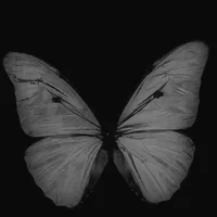 original sound - .letstalkaboutshift