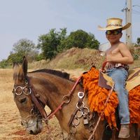 joka_mudeiro123