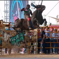 videos_jaripeo_0