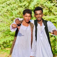 الصوت الأصلي