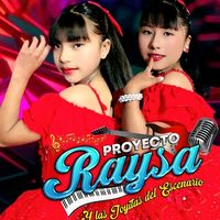 proyectoraysa