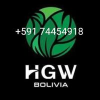 hgwpotosi