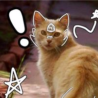 yappy_24