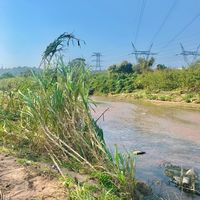 madlamini_sibalkhulu