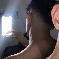 n1el_._
