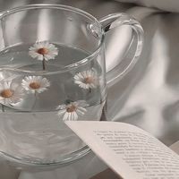 original sound - Celeste.Findsxo