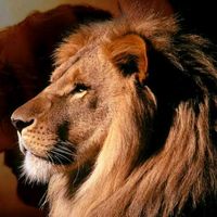 adoracao_e_evangelho