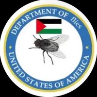 thedepartmentofflies