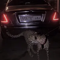 original sound - luzmpik