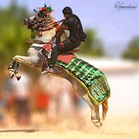 tarekbouzid99
