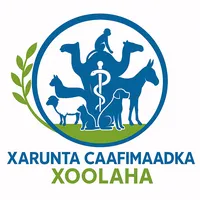 original sound - dralcarabiya