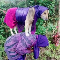 pachawanyandarua