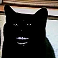 suara asli - wongdeso🌱