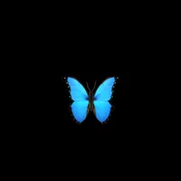 original sound - trendy_ua
