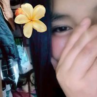 contenido7237