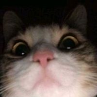 http...l0user_b0ys