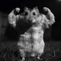 original sound - _abner_gutierrez_