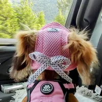 original sound - mypebblesminidoxie