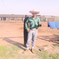 99davih....fernandes