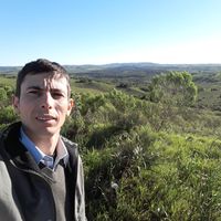 tinchopastorino1