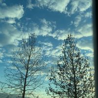 randomaccthatimadecusidk