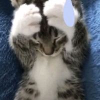 .zzxcm