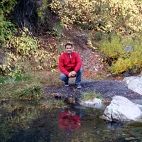 original sound - david483316