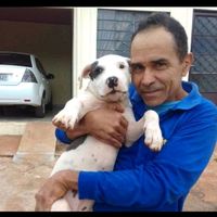 silvinho6798