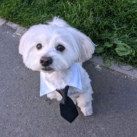 edandleo