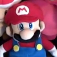 Four Brave Champions