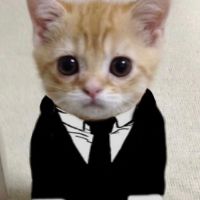 sonido original - raimyck