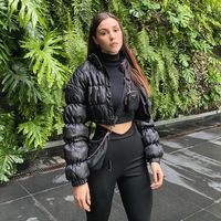 soynormapetris