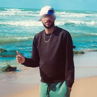 الصوت الأصلي