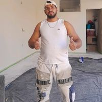 luis_pintor_profissional
