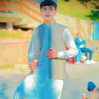 siyaf_gull