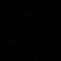 suara asli - anaseramerika