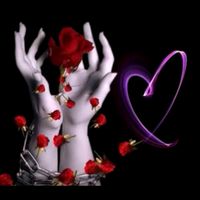 ifsa_rajput_3